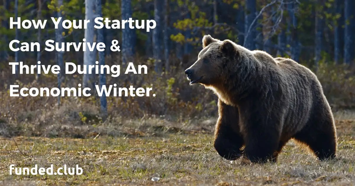 economic-winter:-how-can-your-startup-survive-&-thrive